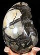 Septarian Dragon Egg Geode - Black Crystals #50822-2